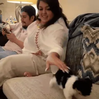 🤩 800cd22e chien, personnes, intérieur, canapé telegram sticker