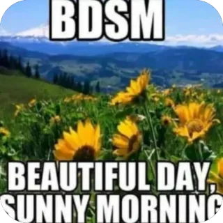 🫥 35fae499 BDSM BEAUTIFUL DAY, SUNNY MORNING nature, fleurs, montagnes, bdsm, belle journée, matin ensoleillé telegram sticker