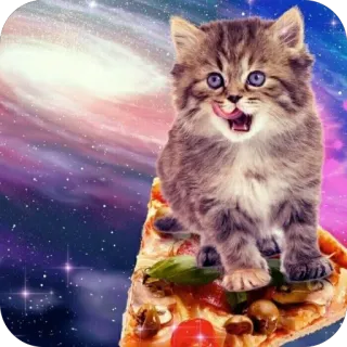 🫥 73fa8409 chat, pizza, galaxie, chaton, espace, animal, nourriture telegram sticker