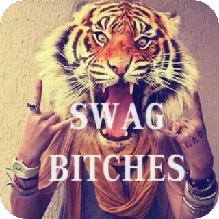 🫥 9d06afdd SWAG BITCHES tigre, style, offensant, animal, expression, mode telegram sticker