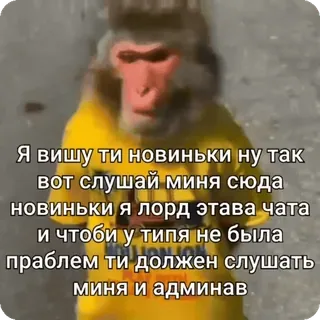 Больше стиков тут: @stikery4 telegram stickers