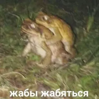Больше стиков тут: @stikery4 whatsapp stickers