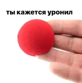 🐗 a3d01912 ты кажется уронил palhaço, nariz vermelho, humor, piada, engraçado, você deixou cair algo telegram sticker