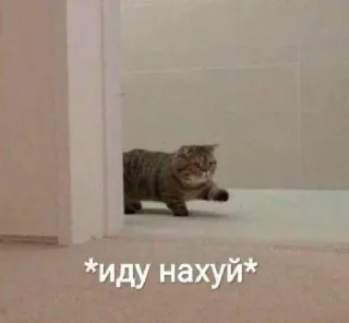 🍞 d29c7794 *иду нахуй* gato, andando, ofensivo, meme, russo telegram sticker