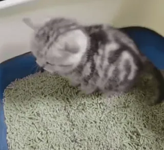 Больше стиков тут: @stikery4 whatsapp stickers