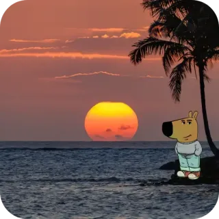 🌇 e4c50b0a พระอาทิตย์ตก, ชายหาด, การ์ตูน, สุนัข, ต้นปาล์ม telegram sticker