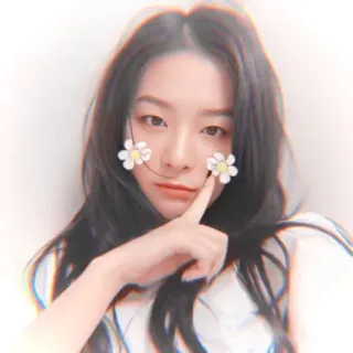 @crmll06 ⿴̸᪶۪۪⃕🏹seulgi whatsapp stickers