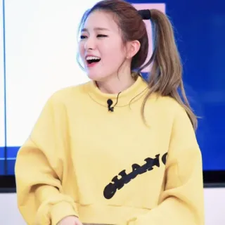 @crmll06 ⿴̸᪶۪۪⃕🏹seulgi telegram stickers