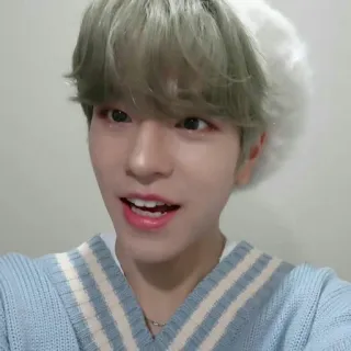 🐶 4770ba1f telegram sticker