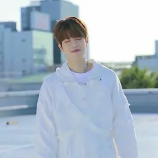 🐶 84cbd665 telegram sticker