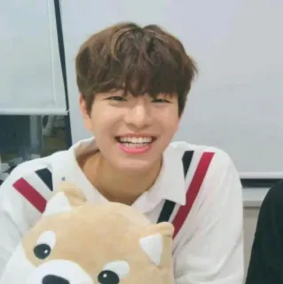 🐶 acb59bba portrait, sourire, personne, joyeux, décontracté, gai, positif telegram sticker