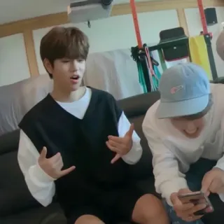 🐶 c86eccfd telegram sticker