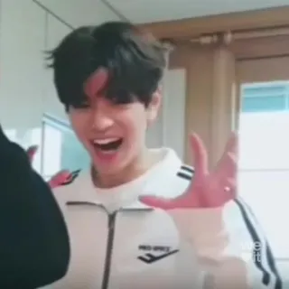 🐶 d7aad6b2 telegram sticker