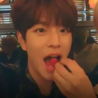 @kimseungmo ’s. whatsapp stickers