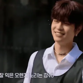 ⭐ 130d1ed8 잘 익은 오렌지 노리는 강쥐 Корейский, Апельсин, Собака whatsapp sticker