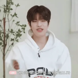 ⭐ 19e48275 어찌 챗건물이 같은 삘... 룸밖에 없으니? whatsapp sticker