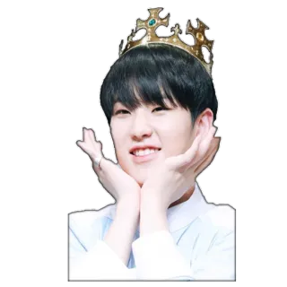 ☺️ 0177d757 Person, Krone, Lächeln, Fröhlich, Jugend, Porträt whatsapp sticker