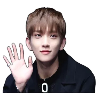 @jonafzan Seventeen telegram stickers