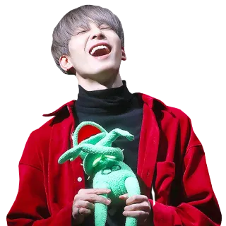 @jonafzan Seventeen telegram stickers