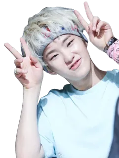 ✌️ 96cdeec5 person, promi, mann, friedenszeichen, stirnband whatsapp sticker