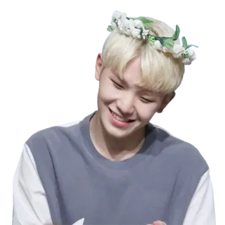 🤣 eb00a5d1 person, blumenkranz, portrait, lächeln, blonde haare whatsapp sticker