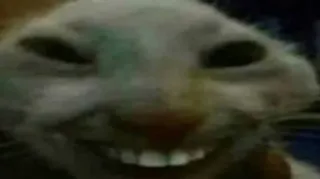 😁 743bde06 rabbit, animal, creepy, scary, meme telegram sticker