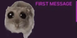 🥺 bb777eb3 FIRST MESSAGE hamster, funny, cute, meme, internet, animal telegram sticker