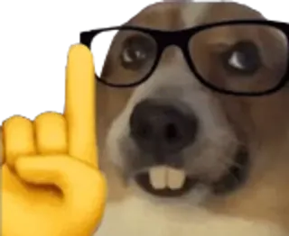 🤓 d4e72c72 dog, middle finger, emoji, glasses, offensive telegram sticker
