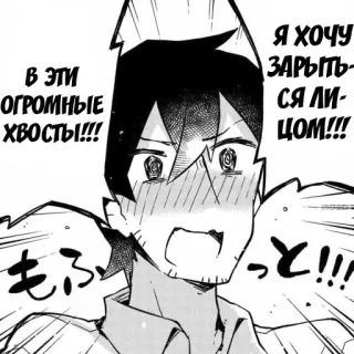 😳 e24f5893 В ЭТИ
ОГРОМНЫЕ
ХВОСТЫ!!!
Я ХОЧУ
ЗАРЫТЬ-
ся ли-
ЦОМ!!!
もふっと!!! telegram sticker