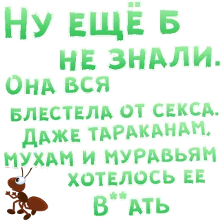 Sex In The City @stickersb2b telegram stickers