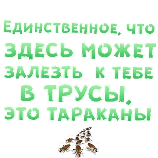 Sex In The City @stickersb2b telegram stickers