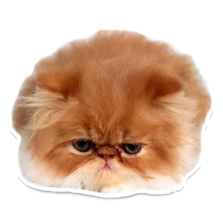 Sexy Animals telegram stickers