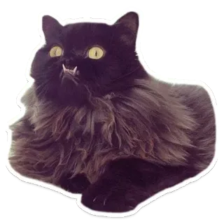 Sexy Animals telegram stickers