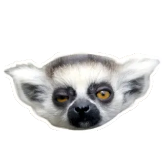 Sexy Animals telegram stickers