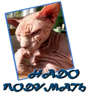 Сфинкс whatsapp stickers