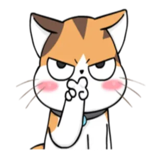 Soidow cat @StikerDi telegram stickers