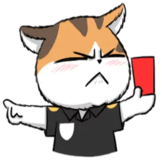 Soidow cat @StikerDi telegram stickers
