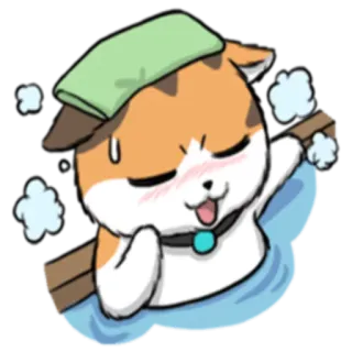 🛁 71e44253 猫, 毛巾, 汗, 可爱, 动物, 贴纸 telegram sticker