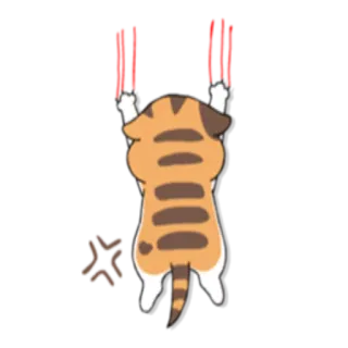 😠 a49dc763 猫, 生气, 挣扎, 动物, 可爱, 搞笑, 贴纸 telegram sticker