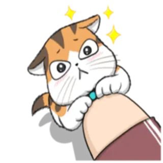 🙄 f0973888 猫, 可爱, 贴纸, 动物 telegram sticker