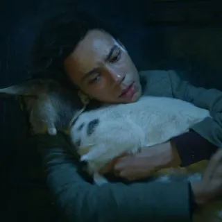 🌘 4a7d972d hombre, animal, cuidado, afecto, consuelo telegram sticker