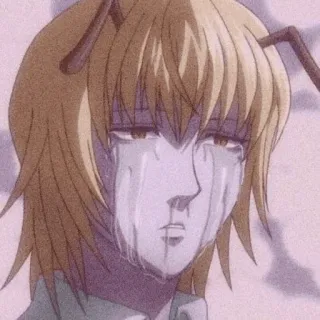 🦋 afcfa9d6 Kite Hunter x Hunter 动漫, 角色, 风筝, 全职猎人, 哭泣 telegram sticker