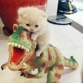 🦖 bf4a0db2 anak kucing, dinosaurus, kucing, binatang, imut, mainan whatsapp sticker