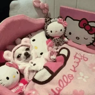 🐶 9264f300 Hello Kitty hello kitty hello kitty, sanrio, imut, kawaii, anjing, chihuahua telegram sticker