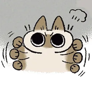 🙅 6c53356e kucing, marah, meme, hewan, imut, kartun telegram sticker
