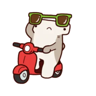 😎 6fa1f221 cartone animato, scooter, animale, occhiali da sole, carino telegram sticker