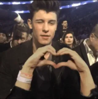 ❤ 0309ae61 Shawn Mendes shawn mendes, celebrità, cantante, cuore, occhiolino whatsapp sticker