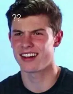 SHAWN REACTS telegram stickers