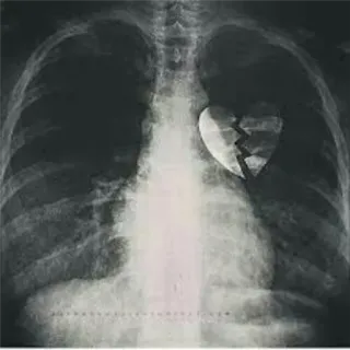 SHAYAN_tak_BOZORG telegram stickers