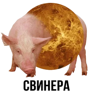 @shblok telegram stickers